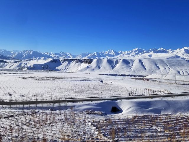 雪域秘境神奇普蘭