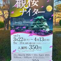 驚鴻一瞥！邂逅大阪城天守閣的夜