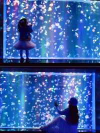 成都極地海洋公園保姆級攻略！🫧blue～