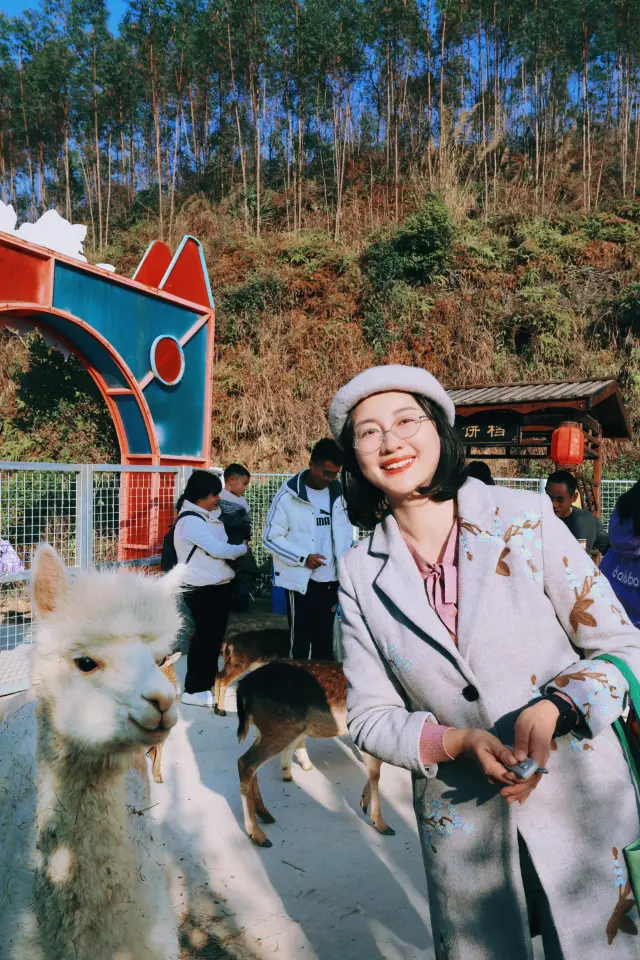 肇慶這個景區太適合帶小朋友放電啦