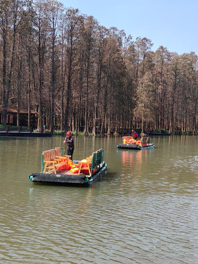 江蘇旅行 | 李中水上森林公園旅遊攻略