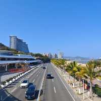 【珠海香爐灣】椰樹打卡之王🌴