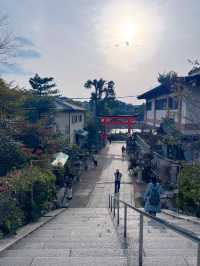 ⛩️宇治神社保姆級攻略｜闖入千年鶯歌的橘色秘境