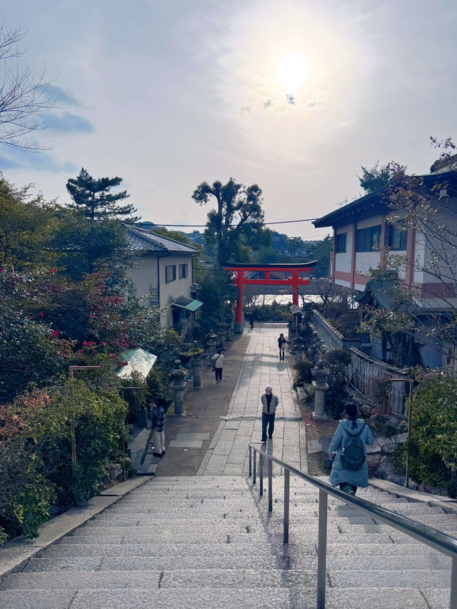 ⛩️宇治神社保姆級攻略｜闖入千年鶯歌的橘色秘境