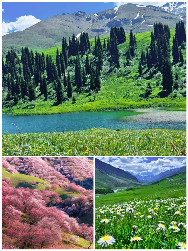 이리(伊犁)는 이제 그만, 4월에는 가지 않는 것을 추천해요