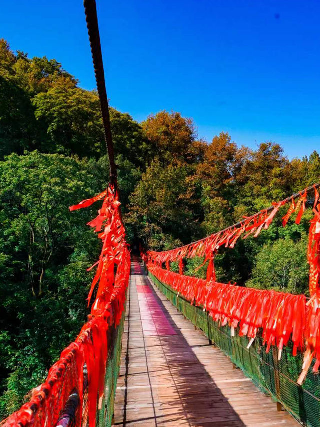 桂林市區出發超全景點指南附路線圖