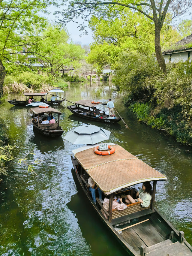 Relaxing Free Half-Day Tour at Xixi Wetland (1-Hour Journey Guide)