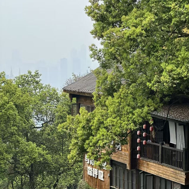 Chongqing: The City of Mountains and Rivers