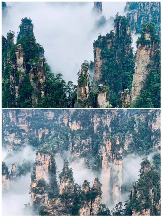 張家界受罪已回，說點難聽大實話！因為一首歌來到一座城