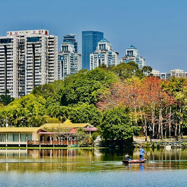深圳原來有個荔枝公園？