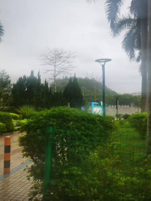 🌧️午後東湖散步記｜風雨中的意外片刻