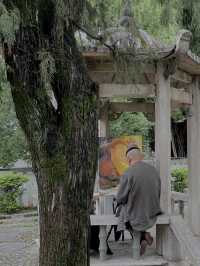 泉州西街開元寺，一趟穿越時光的古韻之旅