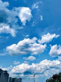 杭州的夏日晴空令人驚艷。
