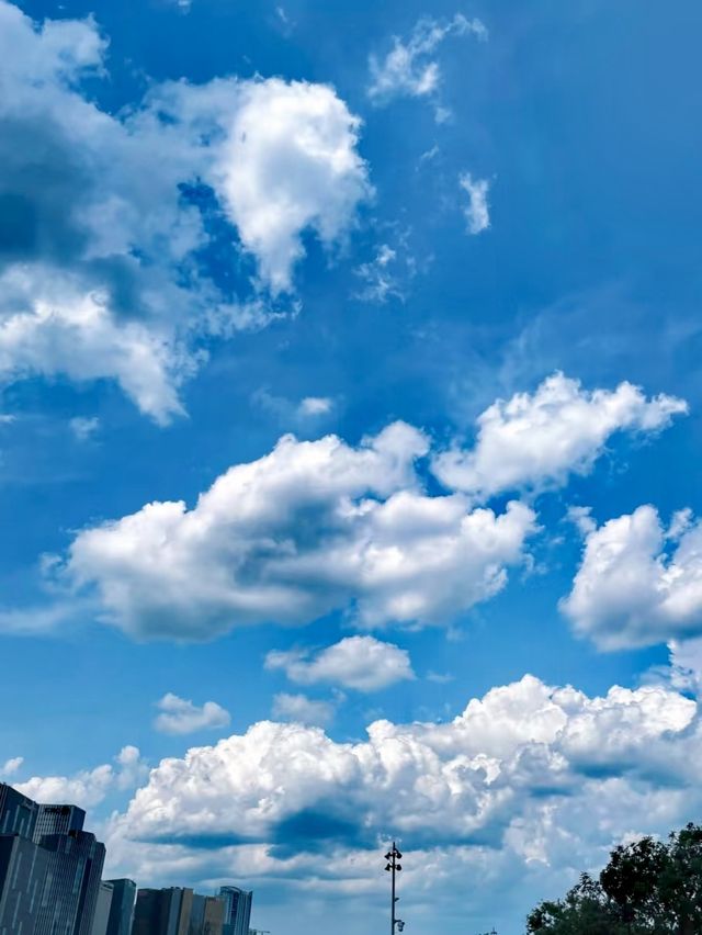 杭州的夏日晴空令人驚艷。
