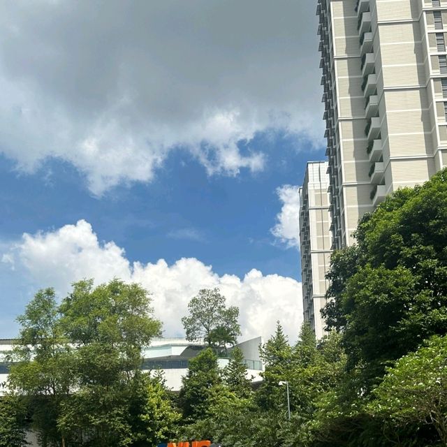 p人新加坡3天暴走全攻略｜日均2万步打卡所有景點！