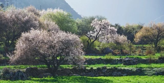 藏東南秘境～尼屋、邊壩