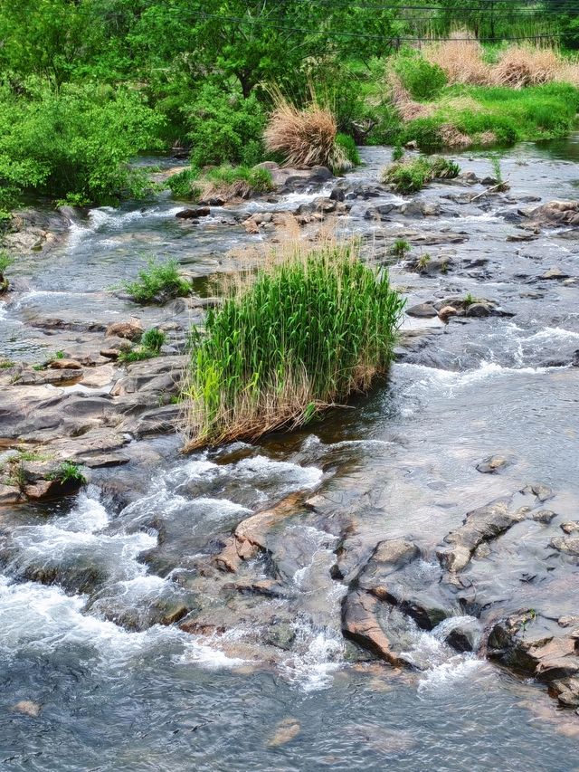 沿着苕溪行走〡分享沿途原生態美景