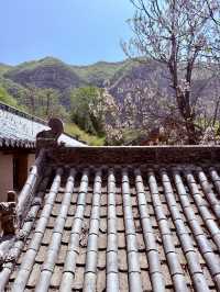 一寺貫六朝——龍門寺