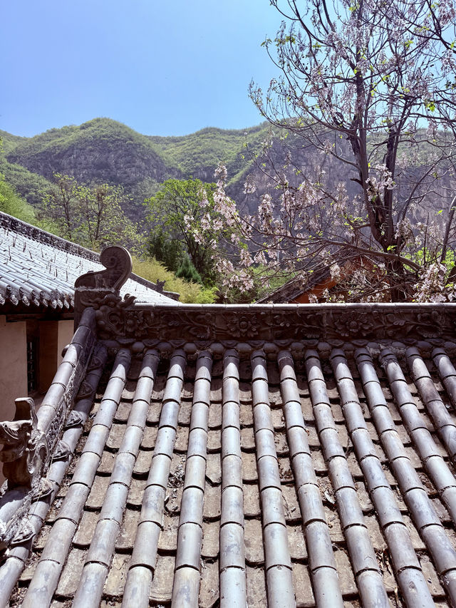 一寺貫六朝——龍門寺