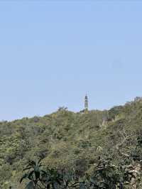 郴州莽山國家森林公園西門應該怎麼玩？