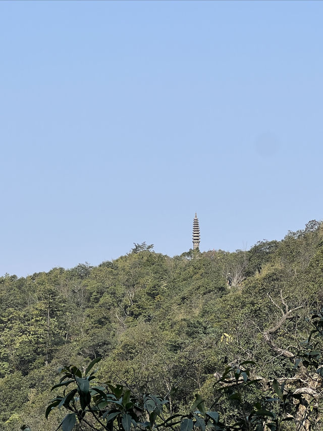 郴州莽山國家森林公園西門應該怎麼玩？