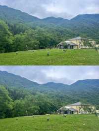 唐家河