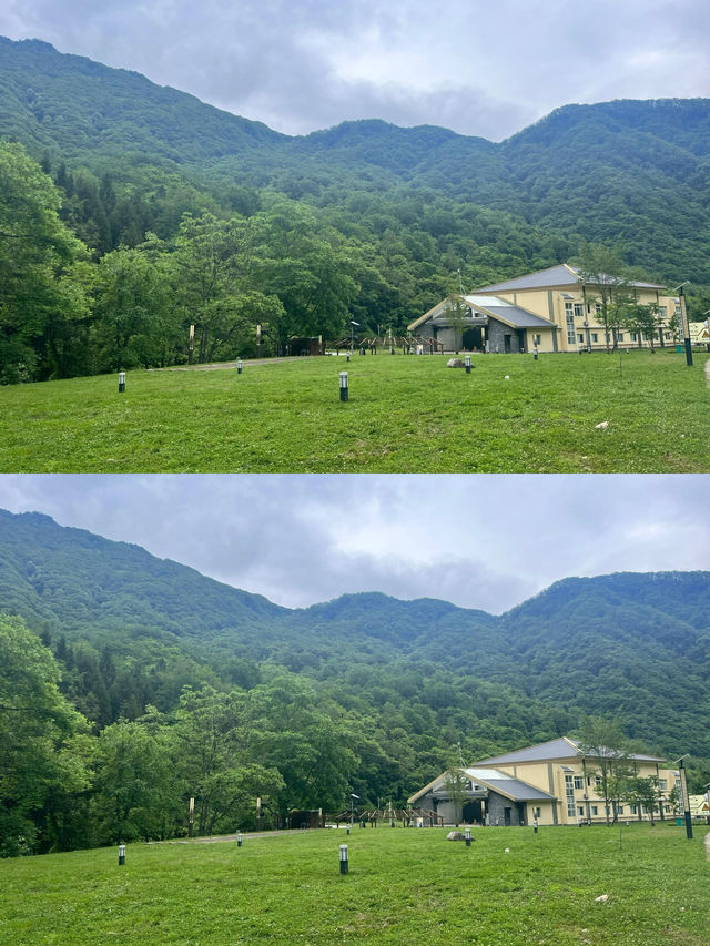 唐家河