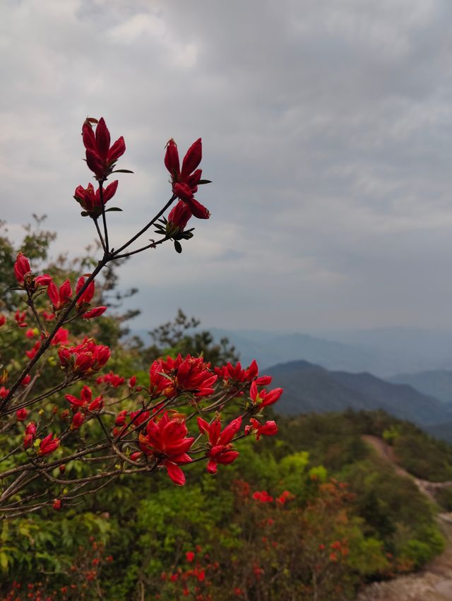 靜謐的烏岩嶺