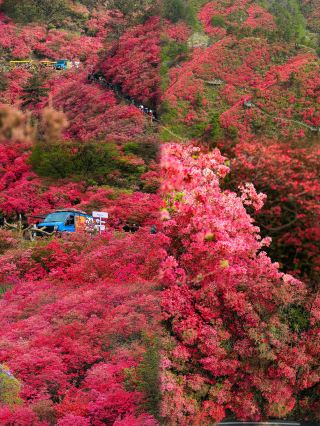 A Hubei Fairyland: A Millennial Glimpse!
