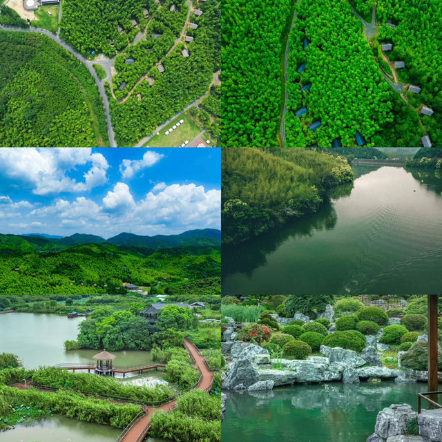 莫干山：竹海深處的隱逸之境