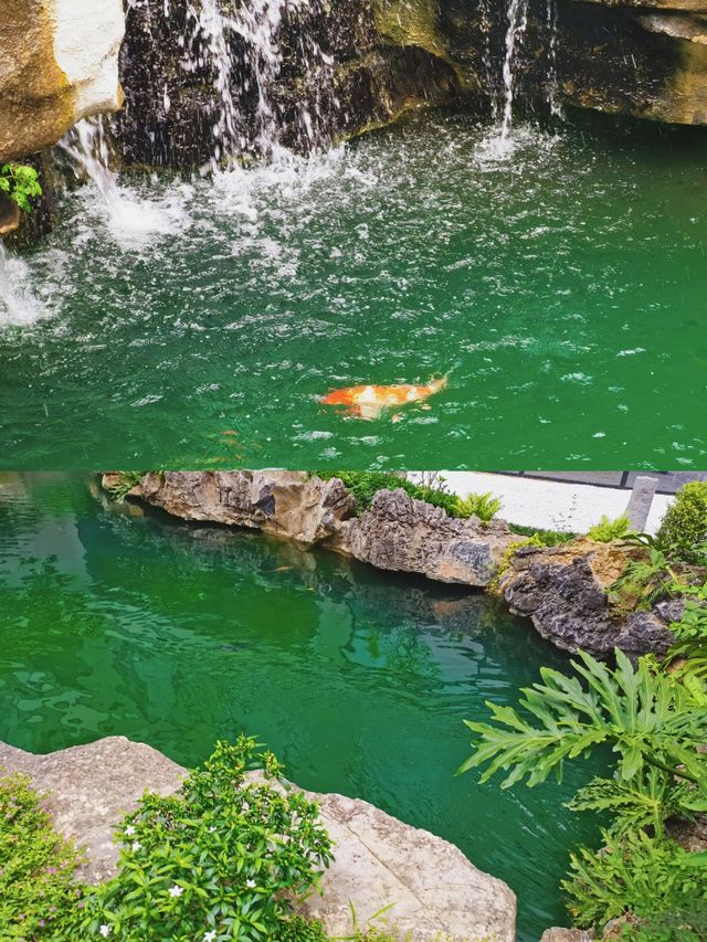 崇左旅遊 | 住明仕長留山居，性價比絕了