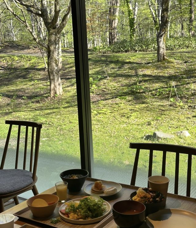 住進春天的青森山林