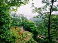 Rarely Visited Locations in Wulingyuan National Park: A Mystic Grap