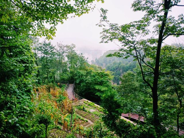 Rarely Visited Locations in Wulingyuan National Park: A Mystic Grap