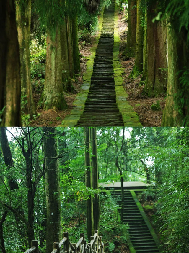 雨城雅安 . 茶馬古道的千年迴響