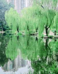 呢度唔止有神樹！北京治癒系帶娃公園！詳見攻略！