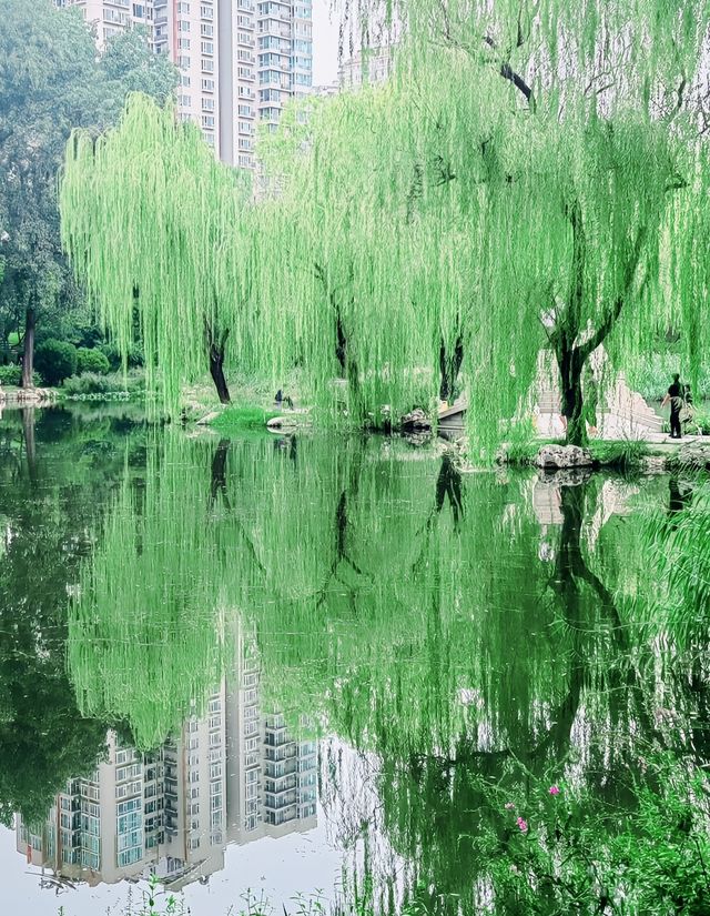 呢度唔止有神樹！北京治癒系帶娃公園！詳見攻略！