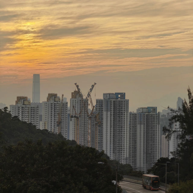 飛鵝山徒步之旅：登九龍巔峰，覽港城山海絕景