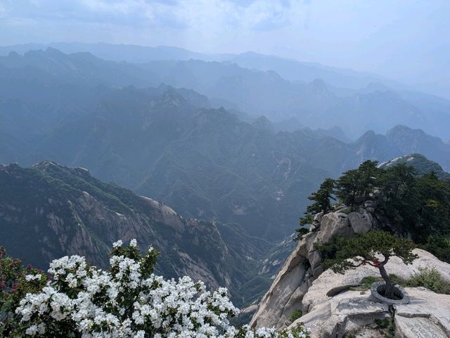 Most Dangerous and Exciting Climb @ Mount Hua 🏔️