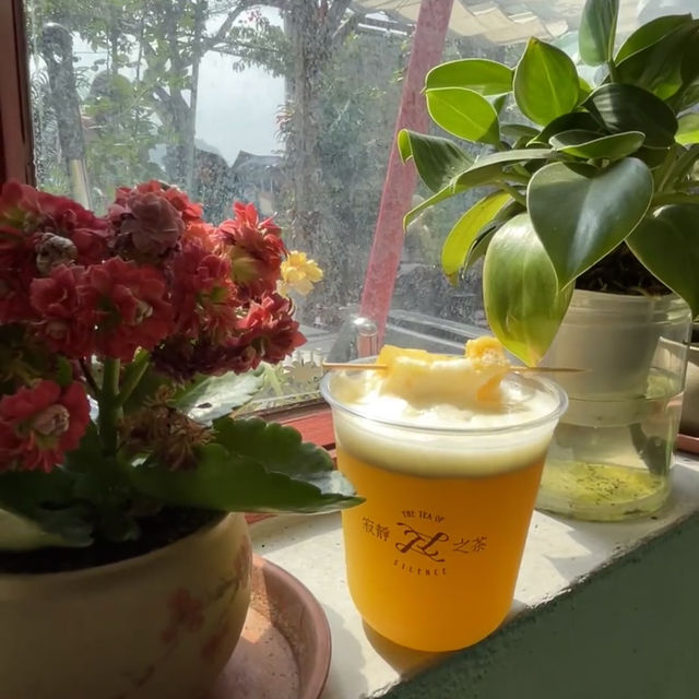 澳門文藝漫遊！路環壹號公寓周邊的浪漫地圖🗺️