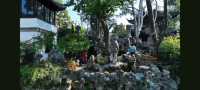 漫步蘇州園林：一場穿越千年的美學盛宴   踏入蘇州園林，彷彿打開了一本塵封的古籍，每一頁都書寫著東方