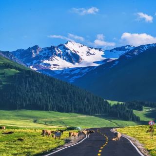 Ultimate Guide to Exploring Urumqi and Beyond During the Long Weekend