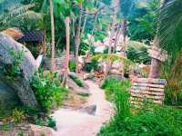 No Crowds, No Problem: Ao Hin Wong's Backpacker Dive Scene