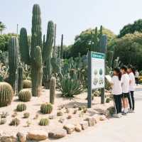 廈門植物園藏住神級打卡位！快衝！