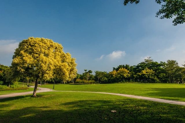 海悅嘅夏天：山海相擁嘅園林秘境