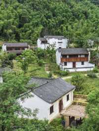 山野來信｜在[文宗古村]捕捉一場心動的風