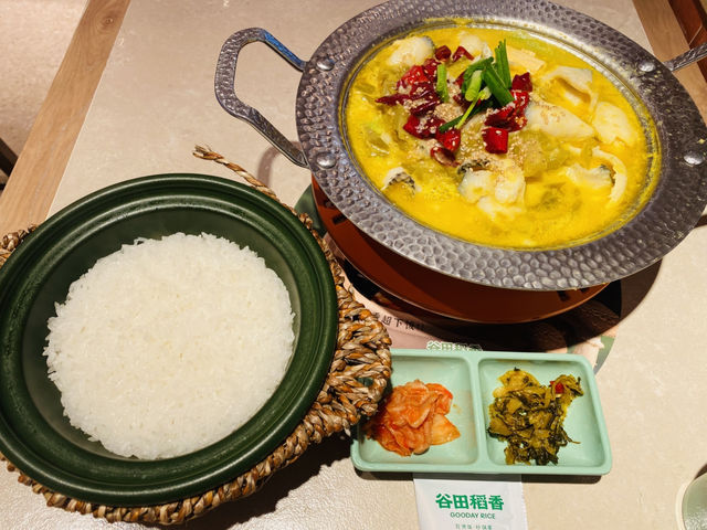 중국 광저우 여행 맛있는 쌀밥이 먹고 싶다면 바로 여기! 
