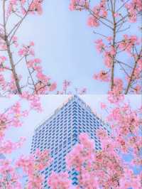 花開時遇見佛，花落時讀懂眾生