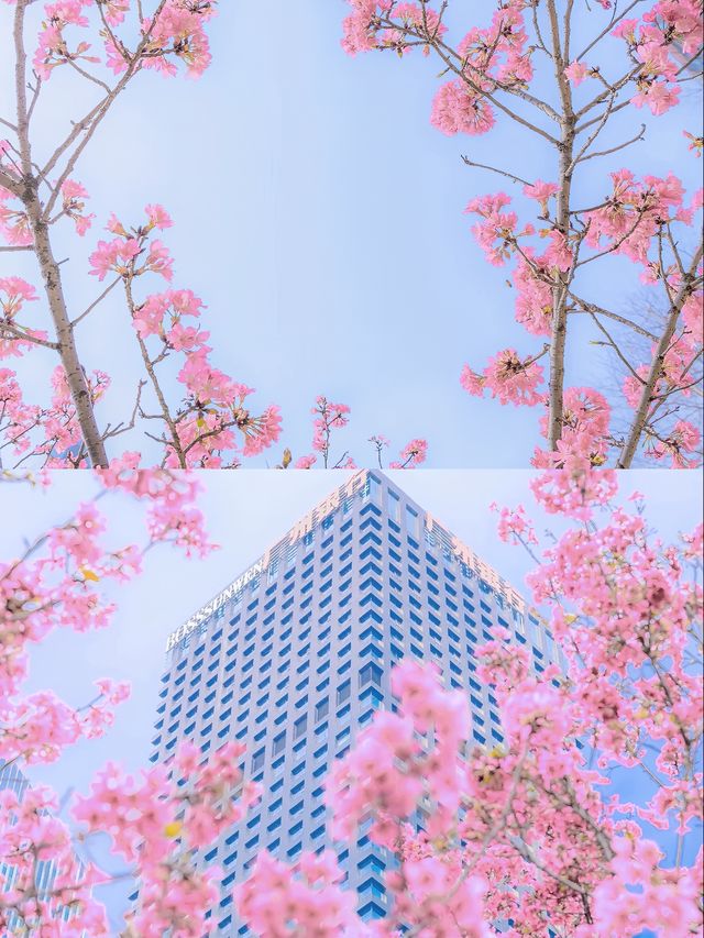 花開時遇見佛，花落時讀懂眾生