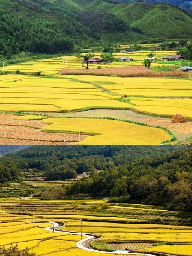 青春要自由，週末去旅行